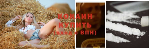 хмурый Надым