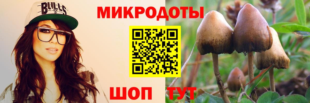 Псилоцибиновые грибы GOLDEN TEACHER  Вход с VPN  Чита 